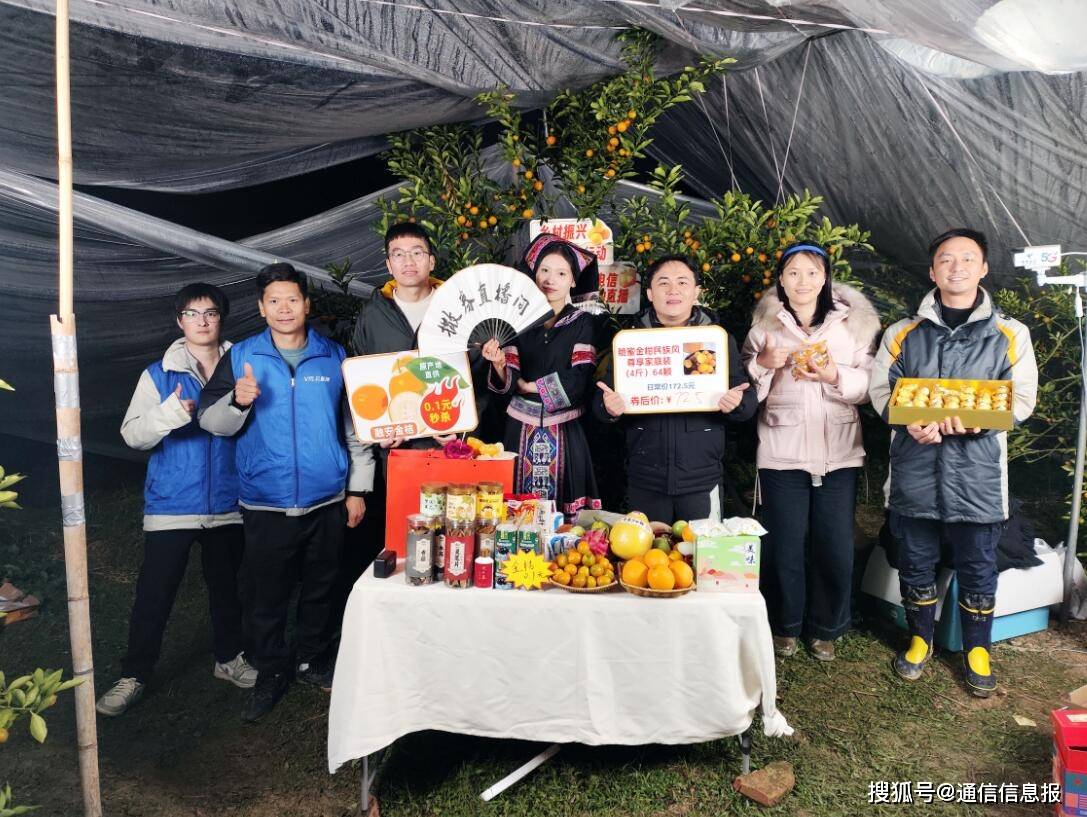 融安金桔丰收啦！中国电信数“智”兴业