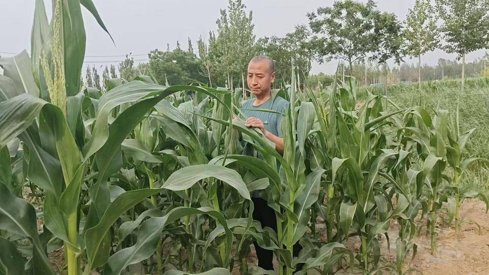好网民·在东营|索志河：以笔为犁，书写黄土地上的文学梦