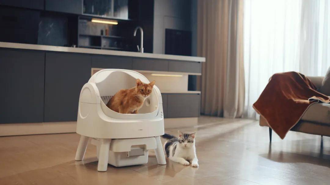 899美元买个"铲屎官":机器人如何把铲屎变成3亿美元生意?