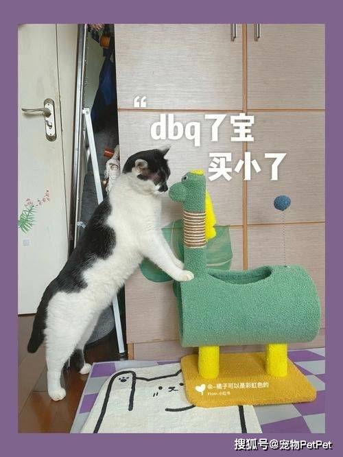 铲屎官买爬架不慎翻车,猫主子站上直呼离谱:说好的豪宅呢?