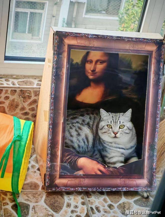 铲屎官为买手机，安排猫咪上岗赚钱：养猫千日，用猫一时！