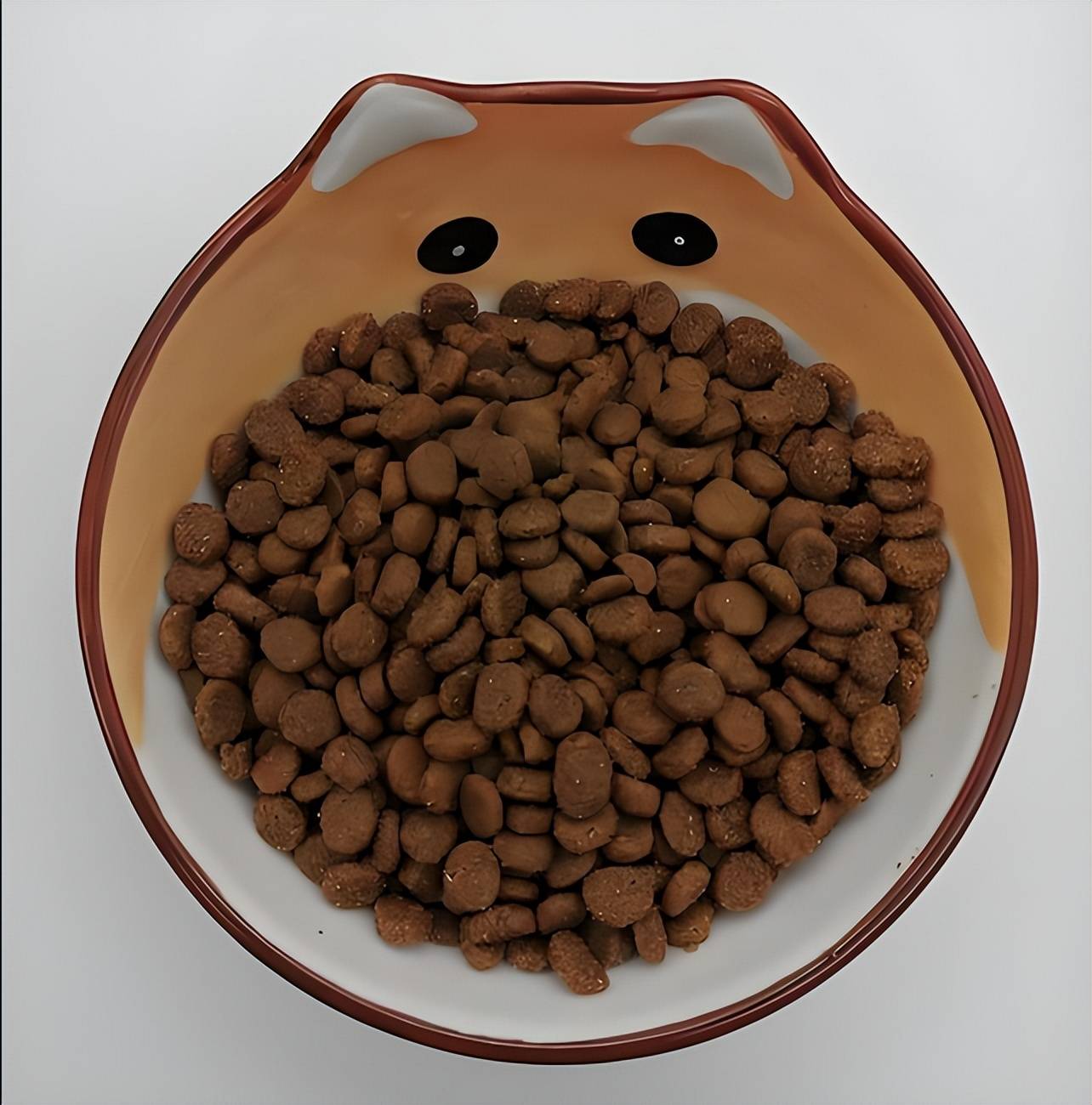 铲屎官看过来！双十一买什么狗粮合适？