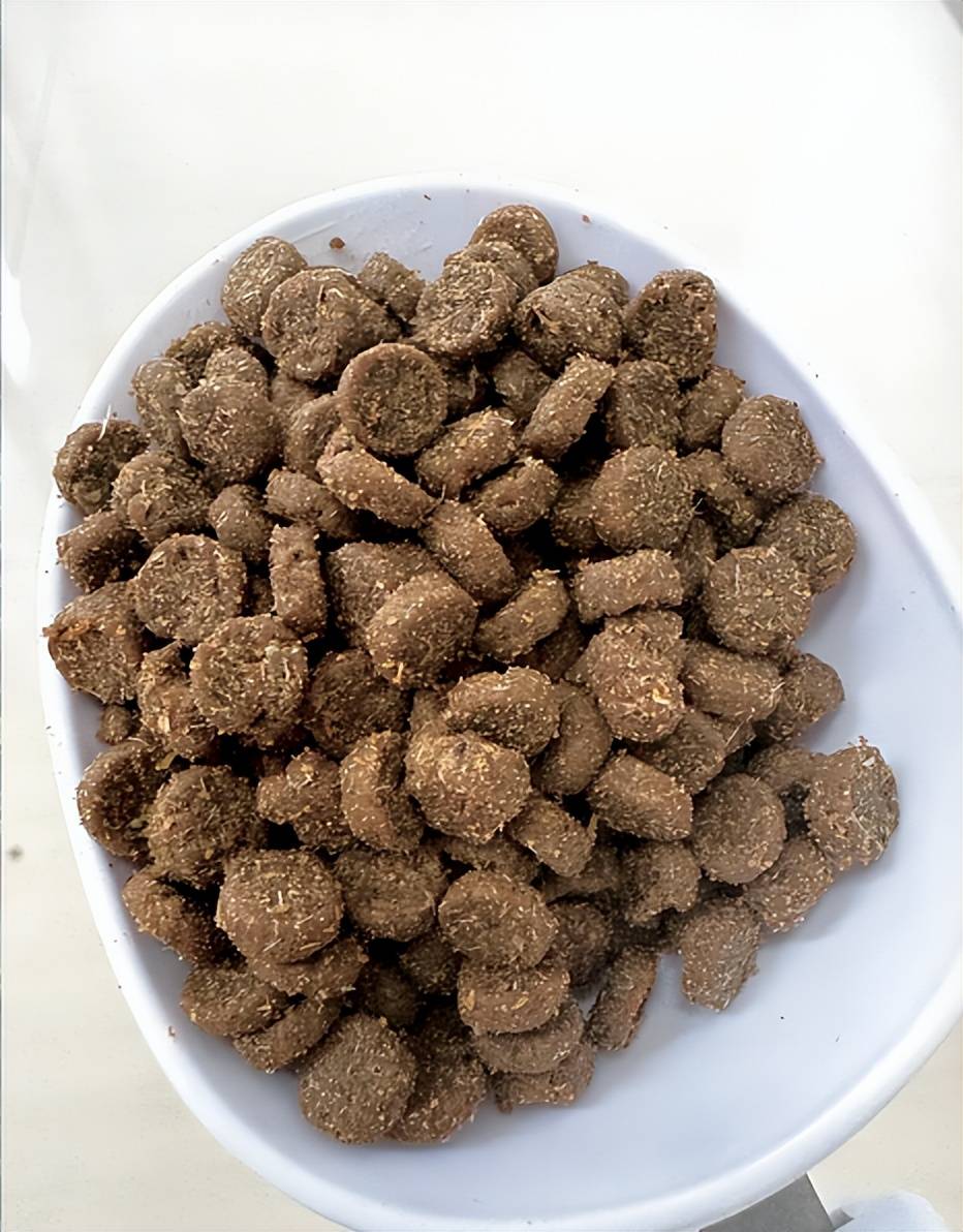 铲屎官看过来！双十一买什么狗粮合适？