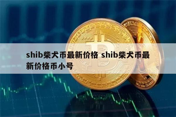 shib币(shib币会涨到01美元吗)
