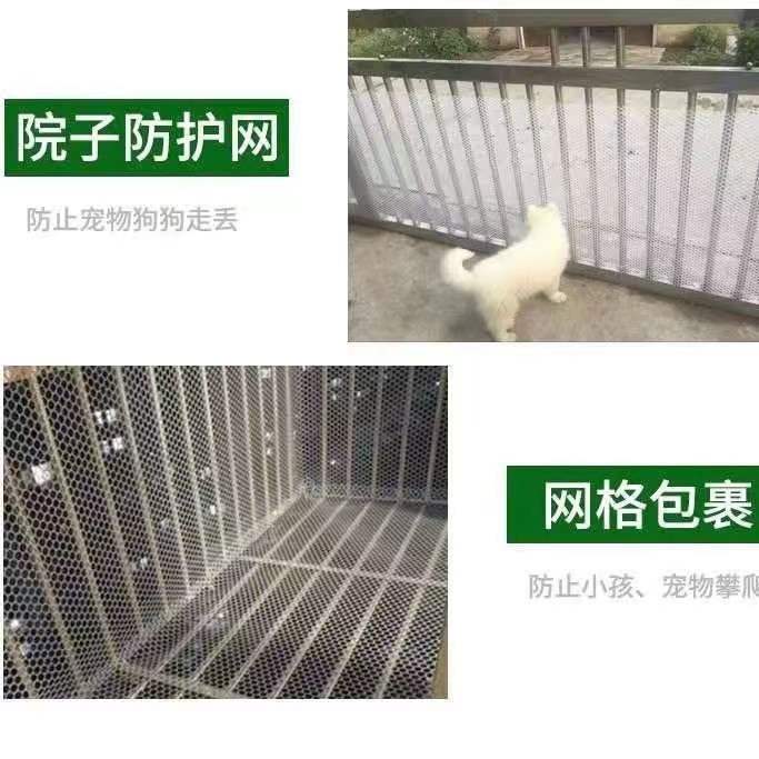 P网(p图改字)